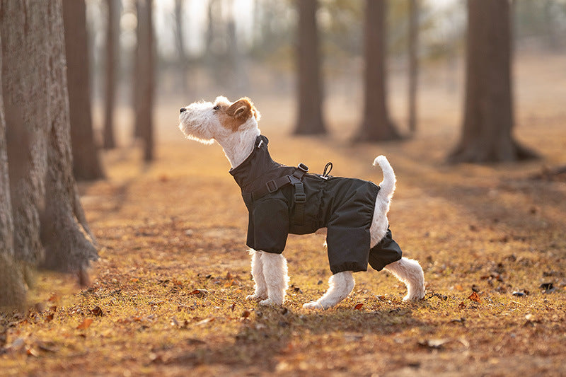 PetLikee Dog Outdoor Jacket