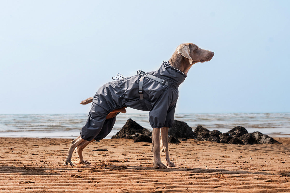 PetLikee Dog Outdoor Jacket