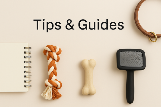 7 Stylish and Safe Must-Have Products for Your Pet