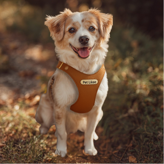 Pet Likee Luxe Leather Dog Harness