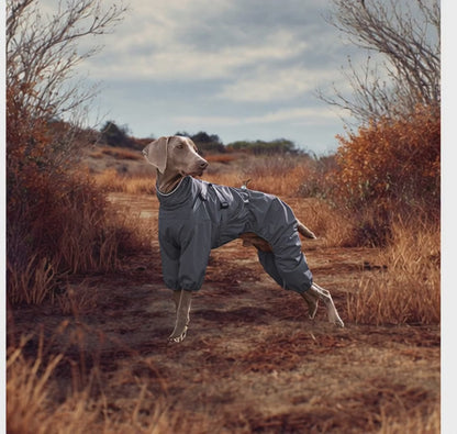 PetLikee Dog Outdoor Jacket